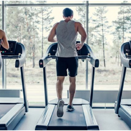 Treadmills- Verve Fitness