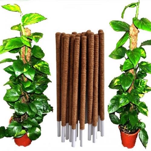 coconut coir garden products